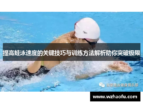 提高蛙泳速度的关键技巧与训练方法解析助你突破极限