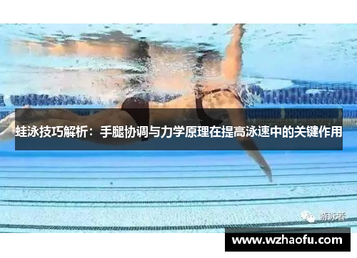 蛙泳技巧解析：手腿协调与力学原理在提高泳速中的关键作用