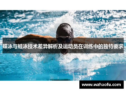 蝶泳与蛙泳技术差异解析及运动员在训练中的独特要求